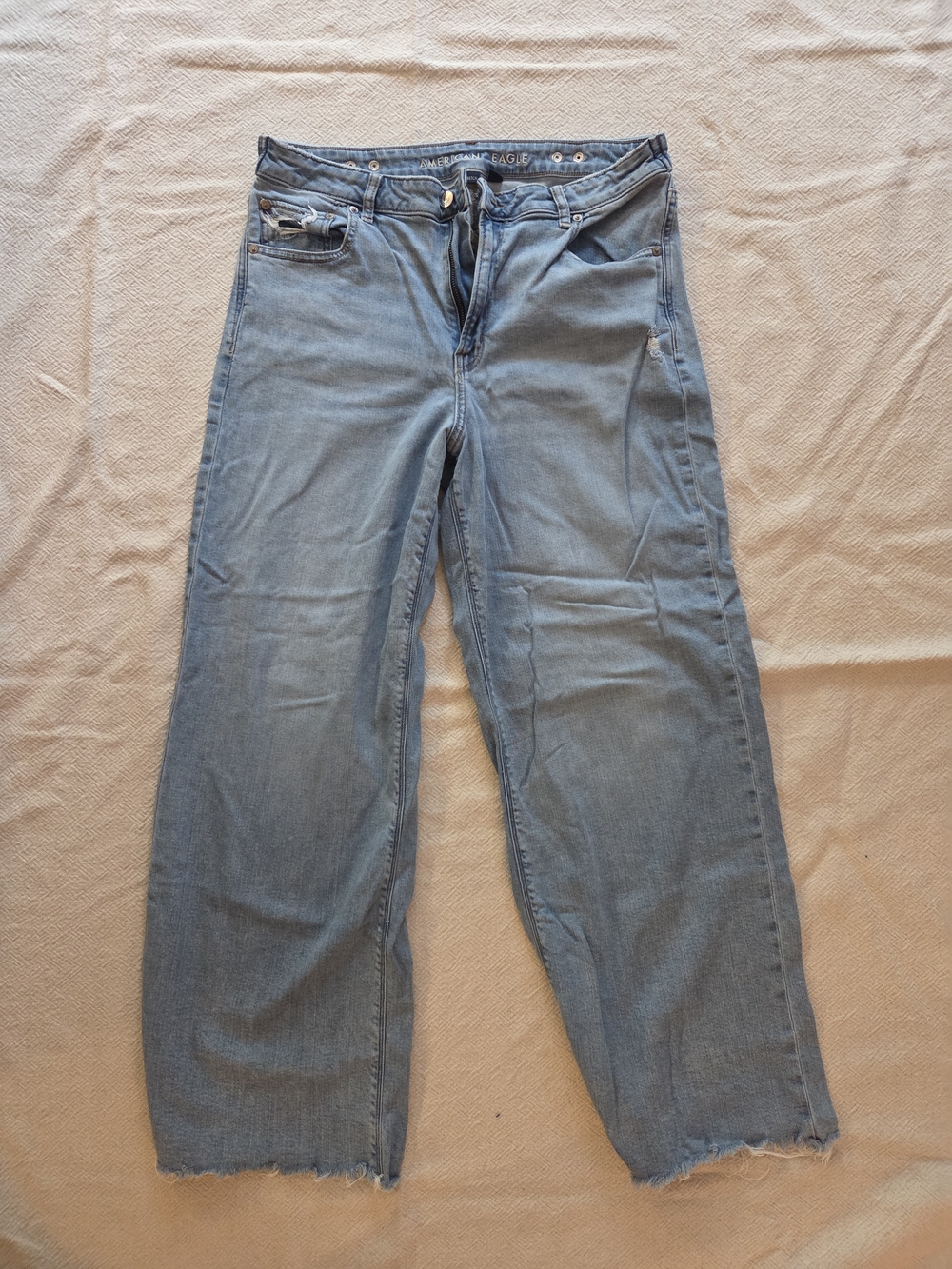American Eagle Outfitters Light Blue Wide-Leg Jeans